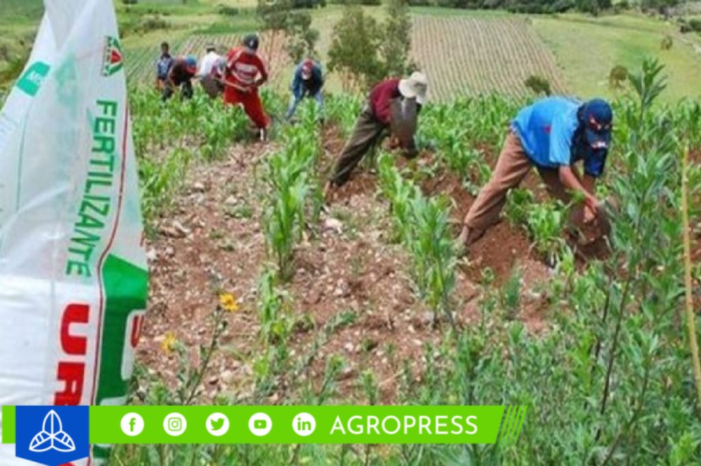 bono agrario