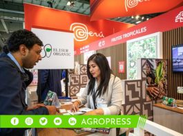 Delegación Peruana tiene como meta generar negocios por US$ 120 millones en Fruit Attraction