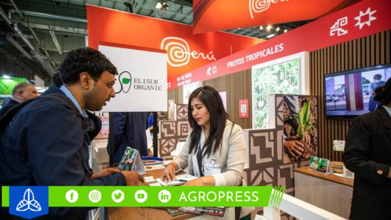 Delegación Peruana tiene como meta generar negocios por US$ 120 millones en Fruit Attraction
