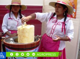 Declaran al queso helado de Arequipa como el mejor del mundo