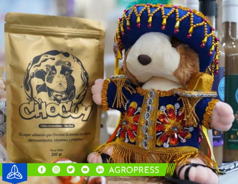 Elaboran alimento a base de cuy y cacao contra la anemia