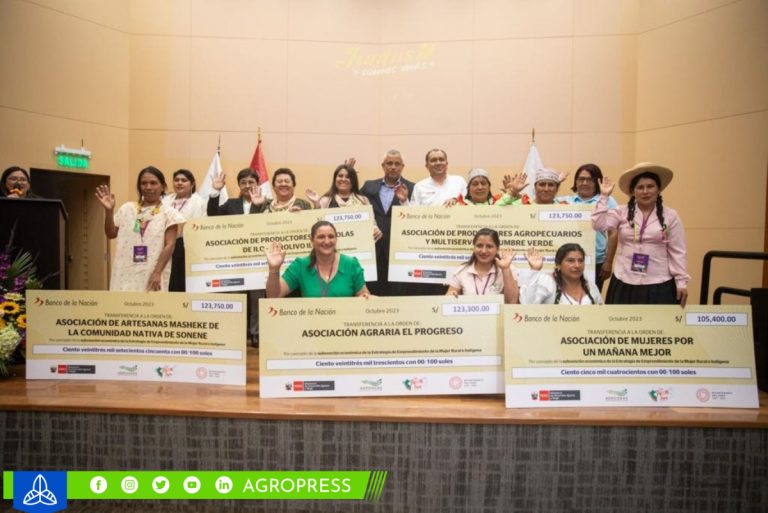 Midagri otorga cheques para impulsar proyectos de casi 3,000 mujeres rurales e indígenas