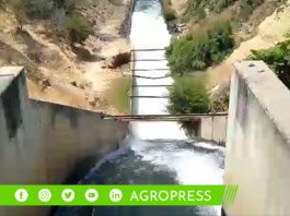 MPP iniciará el mejoramiento del servicio de agua para riego en el canal 27 de abril – Yuscay Tablazo
