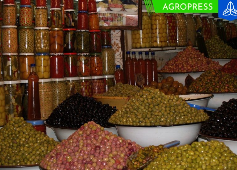 Exportaciones de aceitunas preparadas alcanzan los US$ 29.6 millones