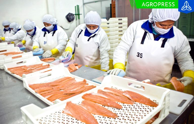 Número de empresas exportadoras de Perú creció un 2.5%