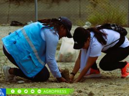 1000 algarrobos se sembraron durante la Gran Cruzada Verde