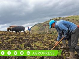 Presupuesto del Midagri para 2024 se sitúa en S/ 2.720 millones