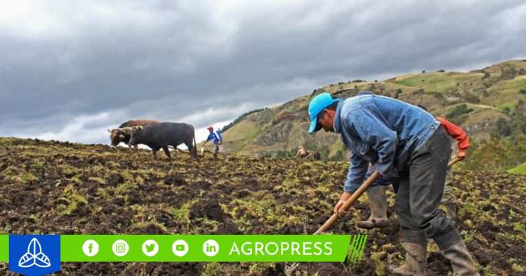Presupuesto del Midagri para 2024 se sitúa en S/ 2.720 millones