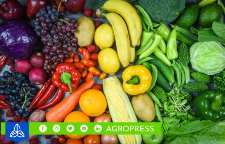 Descubre las ofertas destacadas en alimentos del mercado mayorista de Lima