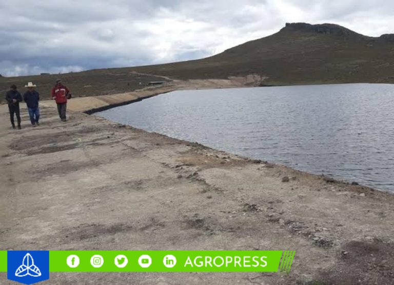 Agro Rural preparará pozas de agua en zonas de déficit hídrico