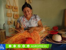 Convocatoria para la tercera edición del Premio Nacional a la Mujer Artesana