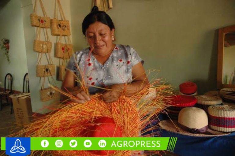 Convocatoria para la tercera edición del Premio Nacional a la Mujer Artesana