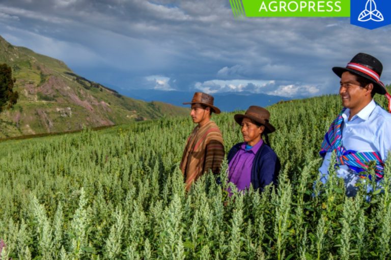 Bono capitalización agraria de 1000 soles para pequeños agricultores: ¿cómo acceder?