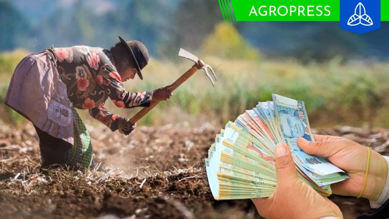 Verifica si eres beneficiario del Bono Agrario 2023