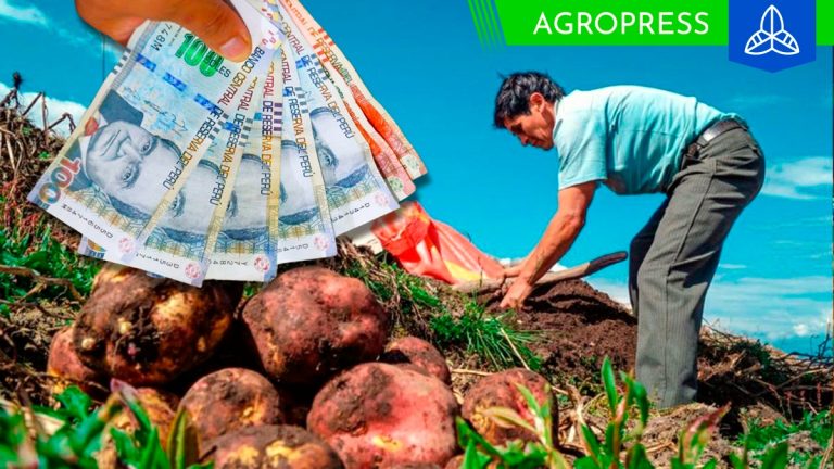 Bono Recupérate Ya noviembre 2023: ¿podrás cobra el subsidio este mes?