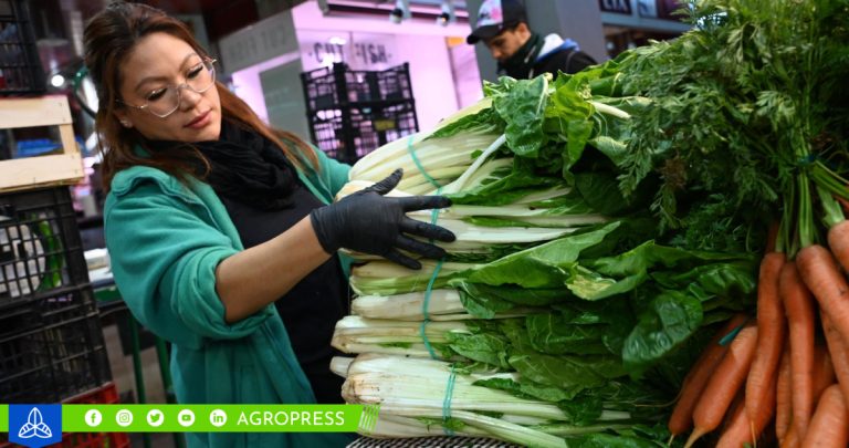 El Gran Mercado Mayorista de Lima experimenta un notable aumento en el suministro de papa y limón