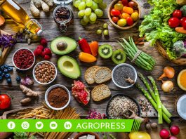 Día de la alimentación saludable 2023: consejos prácticos para mejorar tus hábitos alimenticios