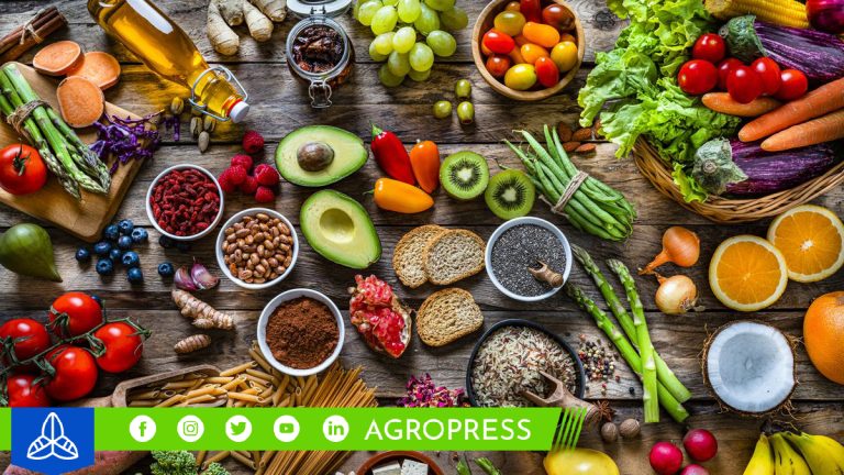 Día de la alimentación saludable 2023: consejos prácticos para mejorar tus hábitos alimenticios