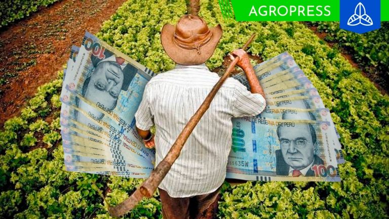 Bono de productores agrarios noviembre 2023: consulta con DNI si eres beneficiario