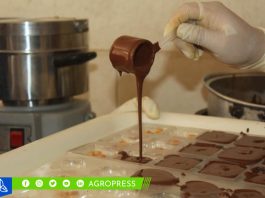 Chocolates de Ancash despiertan interés entre compradores colombianos