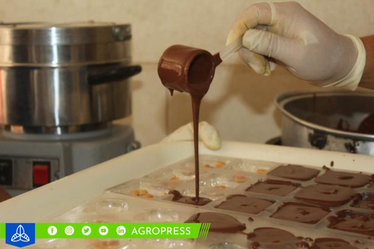 Chocolates de Ancash despiertan interés entre compradores colombianos