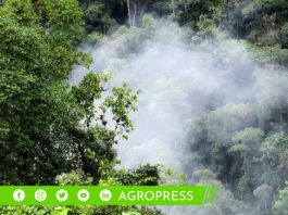 Productos de la marca Páramo de diversas Áreas de Conservación de Piura y Cajamarca, presentes en ferias nacionales