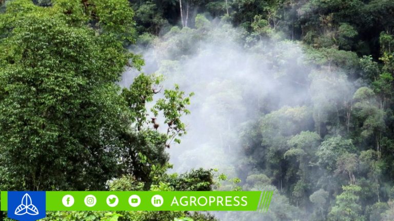 Productos de la marca Páramo de diversas Áreas de Conservación de Piura y Cajamarca, presentes en ferias nacionales