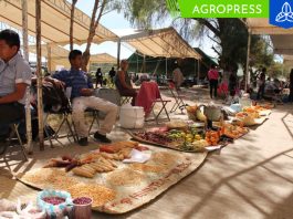 Minam refuerza la preservación de la agrobiodiversidad y recupera 226 productos nativos