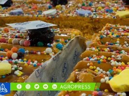 Venta de turrones crecerá un 10% en 2023: ¿cuáles son los precios?