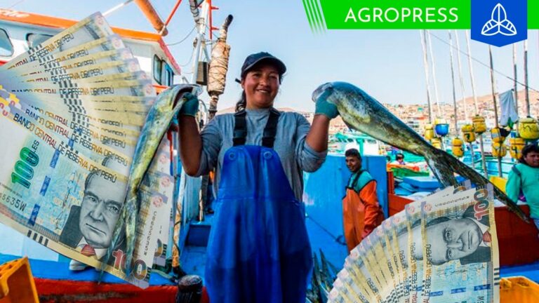Gobierno aprueba nuevo bono del pescador de 700 soles para el próximo año