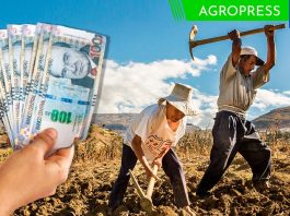 Banco Mundial aprobó un préstamo de US$ 100 millones para respaldar proyectos de riego