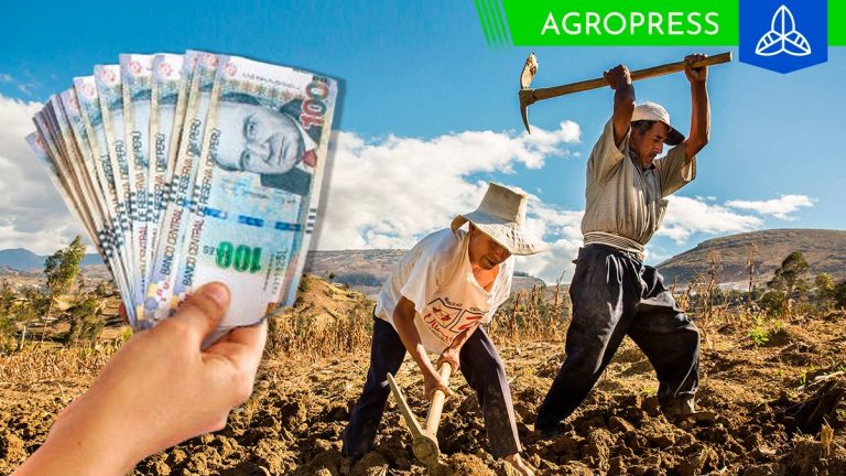 Bono de productores agrarios diciembre 2023: consulta con DNI si eres beneficiario
