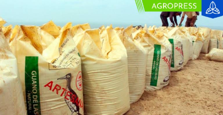 Guano de las islas impulsa a más de 7,500 pequeños productores