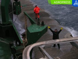 Se reanuda la pesca en la región: la veda reproductiva de jurel concluye