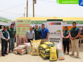 Agro Rural distribuye 450 kg de semillas para impulsar 25 hectáreas de pastos mejorados en Santo Domingo