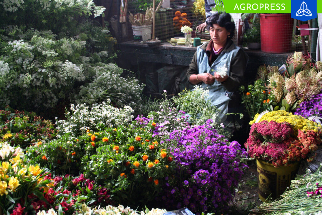 las flores