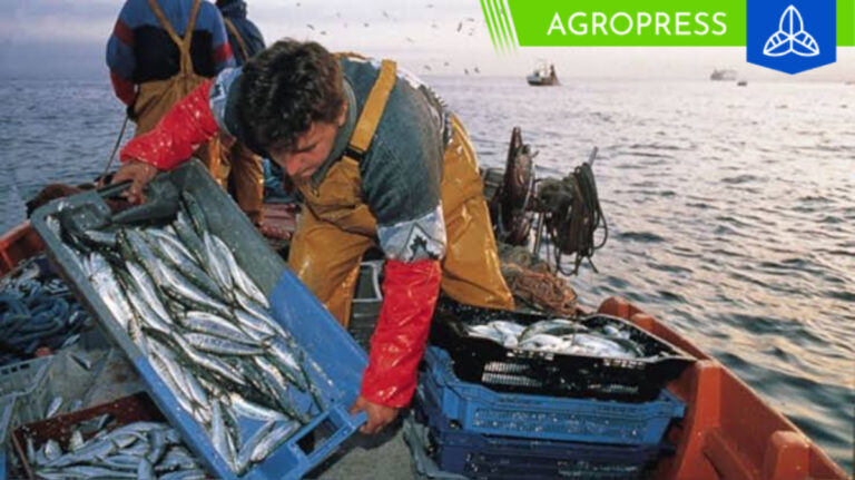 Bono para pescadores artesanales en diciembre 2023: ¿cuándo cobrar el subsidio?