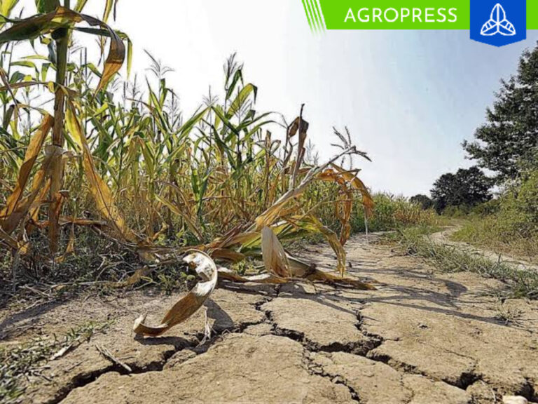 Mincetur advierte que fenómeno El Niño tendrá un fuerte impacto en cultivos de alimentos de exportación