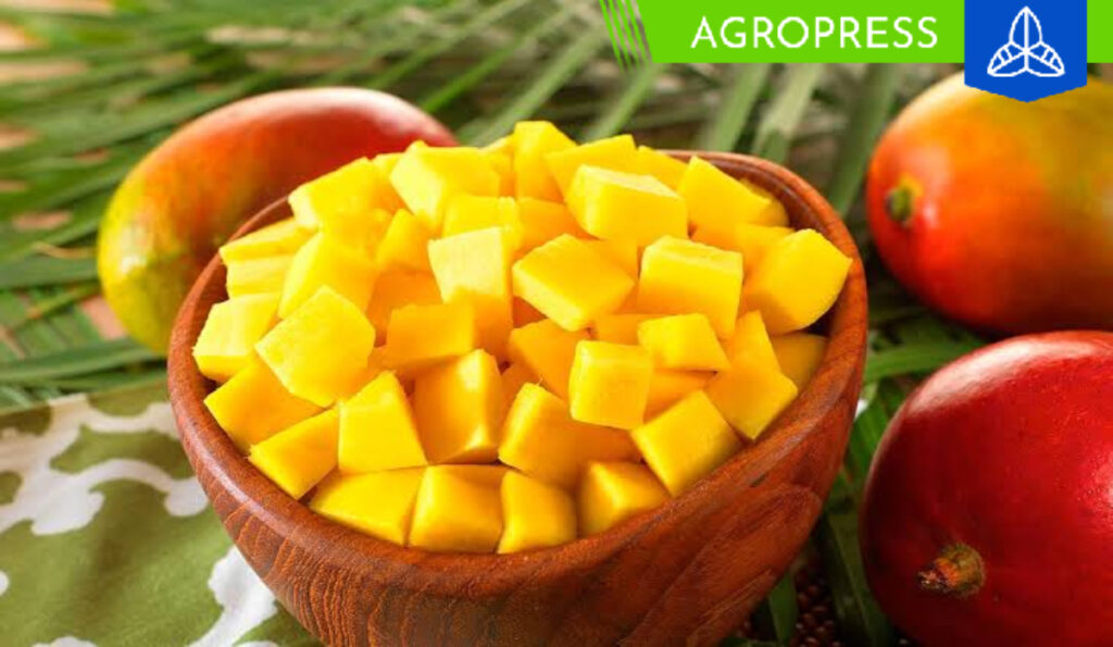 mango congelado