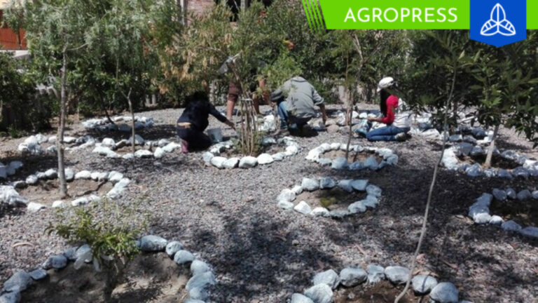 Arequipa: conoce la historia del pueblo que renació ambientalmente