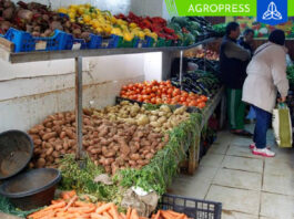 Estos son los alimentos que se escasearán en el 2024 debido al impacto del FEN