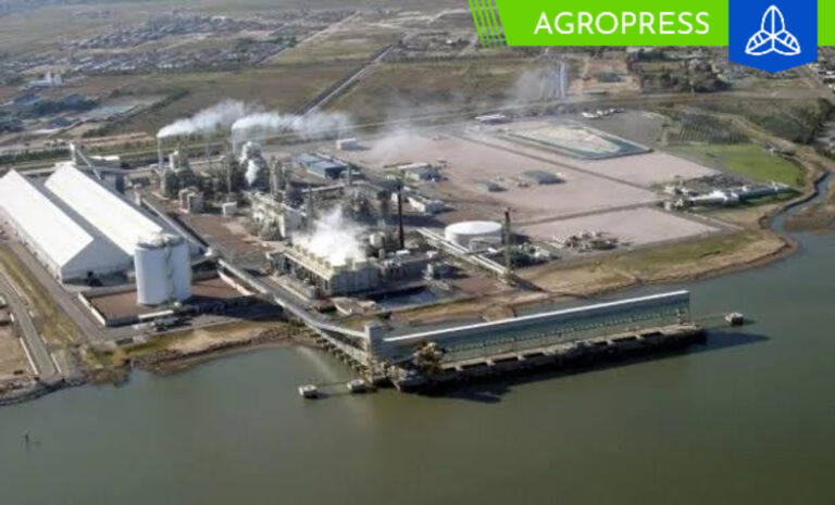 Perú contará con su primera planta de fertilizantes: ¿dónde estará ubicada?