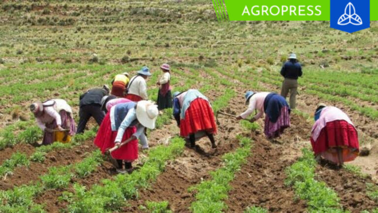 Minam asigna S/ 760,000 a comunidades nativas y campesinas por conservar bosques