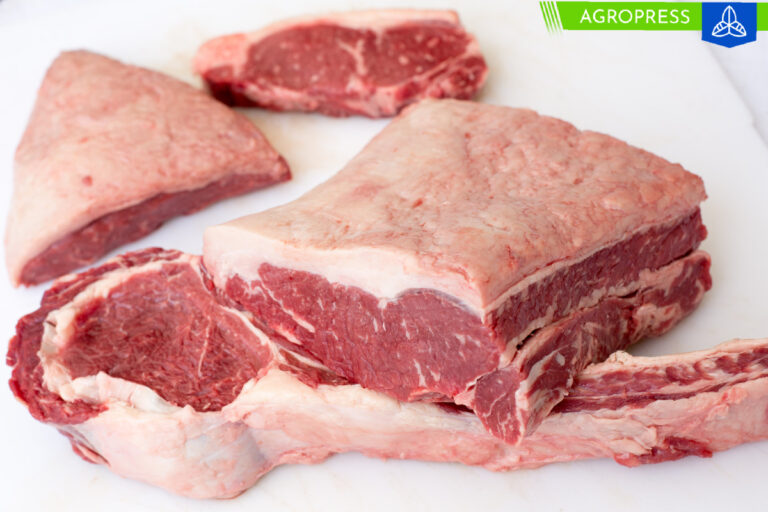 Midagri organiza festival de la carne y concurso de ganado vacuno en Lurín