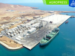 El puerto de Pisco establece nuevos récords en envíos de productos agrícolas