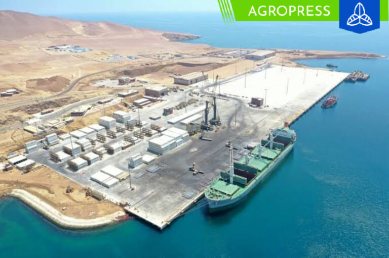 El puerto de Pisco establece nuevos récords en envíos de productos agrícolas