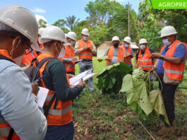 Osinfor moderniza supervisión forestal con tecnología innovadora