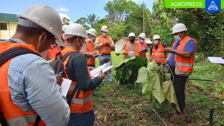 Osinfor moderniza supervisión forestal con tecnología innovadora