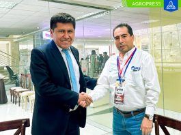 Gobierno Regional de Piura y Puno fortalecen cadena productiva de café
