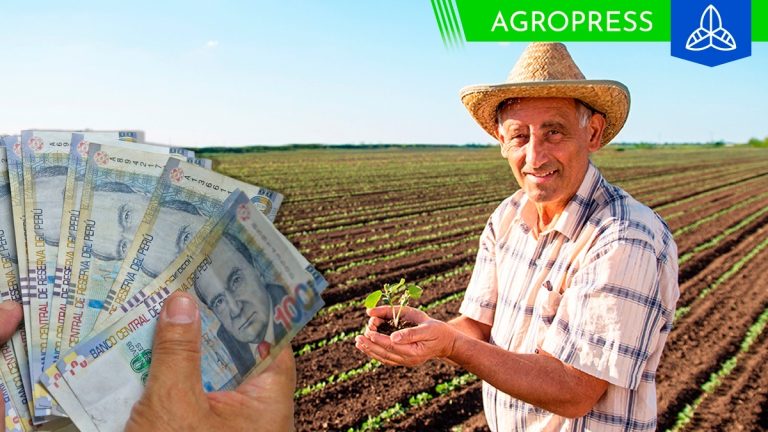 Fertiabono 3 link de consulta: ¿se puede cobrar en noviembre de 2023?